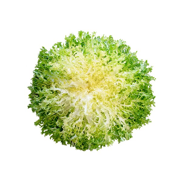 Insalata Scarola